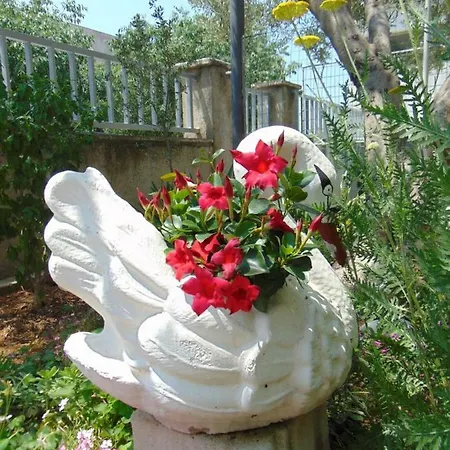 Apartment Josipa Sibenik