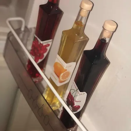 公寓 Josipa 希贝尼克